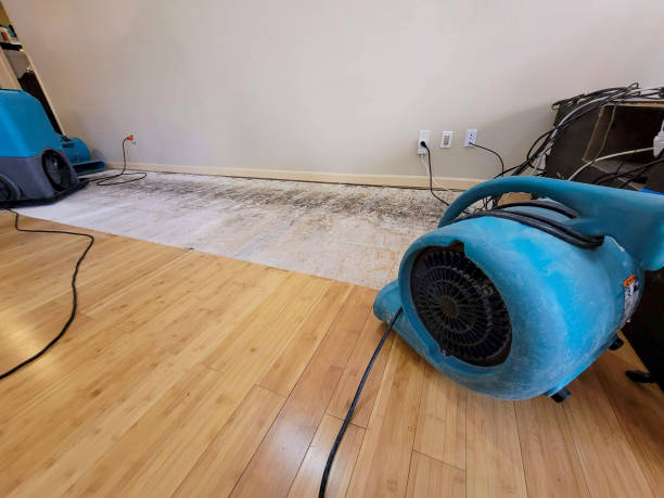 Professional Sewage Cleanup technician working in Jackson, MO